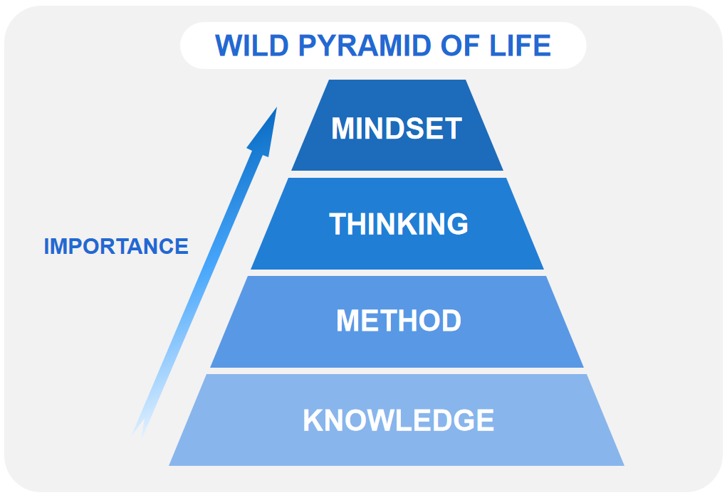 Wild-Pyramid-of-Life