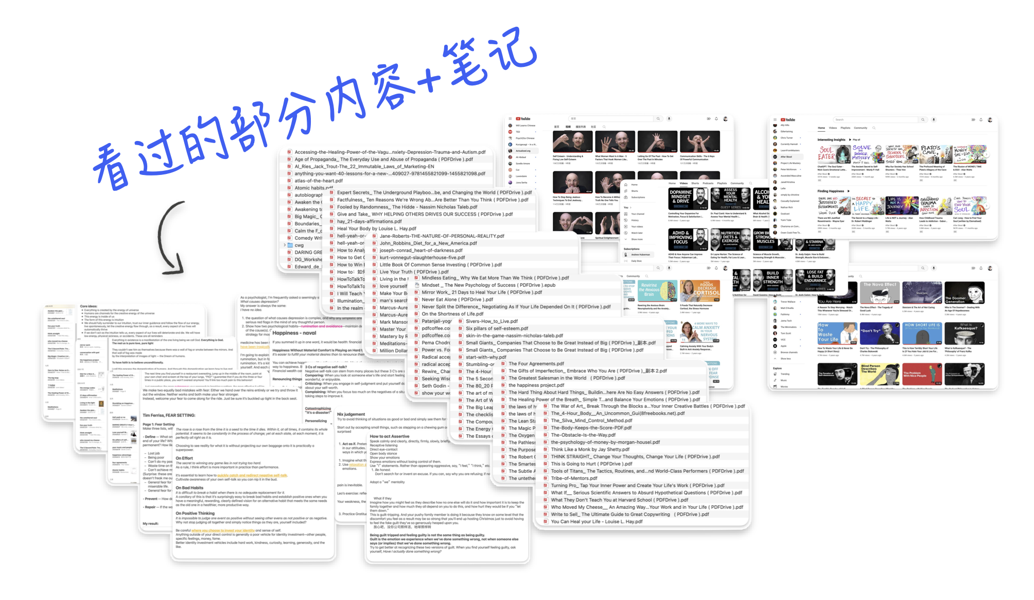 看过的部分内容+笔记-态王