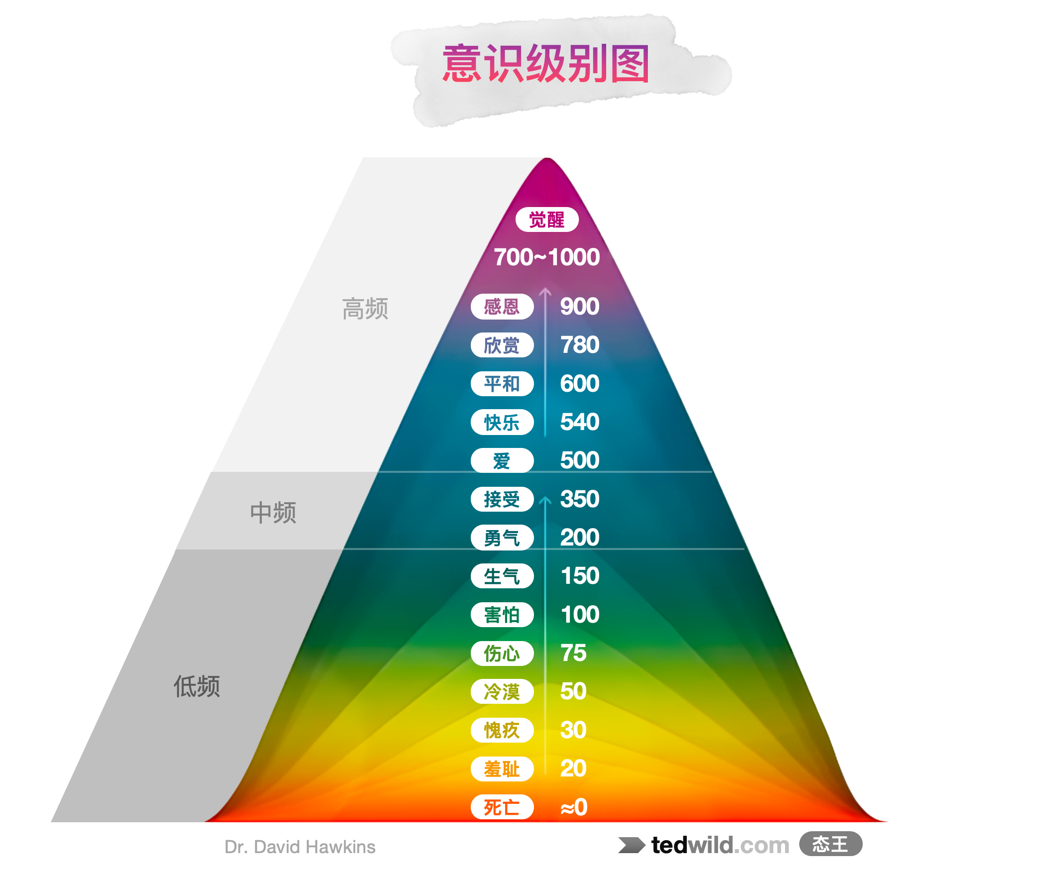 意识级别图 - 态王 - Scale of Consciousness